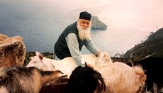 Επιφάνιος, ο Αρχιερέας της ταπείνωσης και της αγάπης