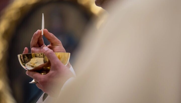 Ελβετία: Ενορίτες κοινώνησαν σκύλους σε καθολικό ναό κατά τη λειτουργία