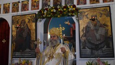 Η αγριέλαιος και η καλλιέλαιος – Του Μητροπολίτη Μάνης Χρυσοστόμου Γ’
