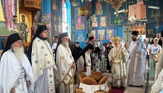 Η εορτή του Προφήτη Ελισσαίου στην Ιεριχώ από το Πατριάρχη Ιεροσολύμων