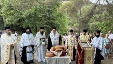 Λαρίσης Ιερώνυμος: Οι Άγιοι Ανάργυροι νικούν τη σύγχρονη ιδιοτέλεια