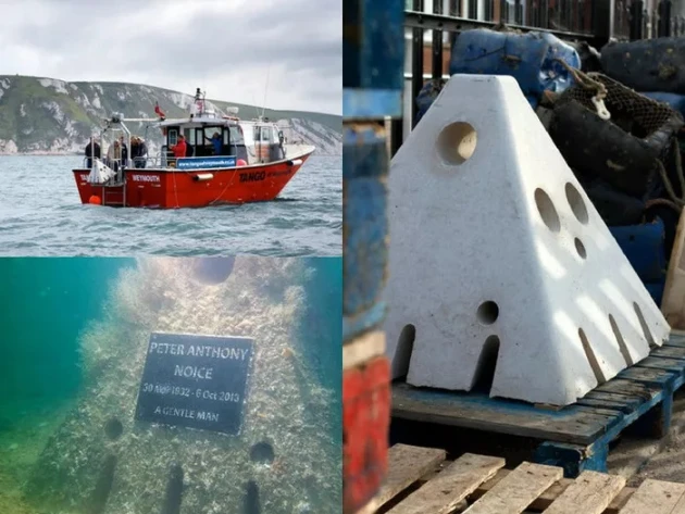 5b1e29457df5b536694986.jpg.webp (62 KB)