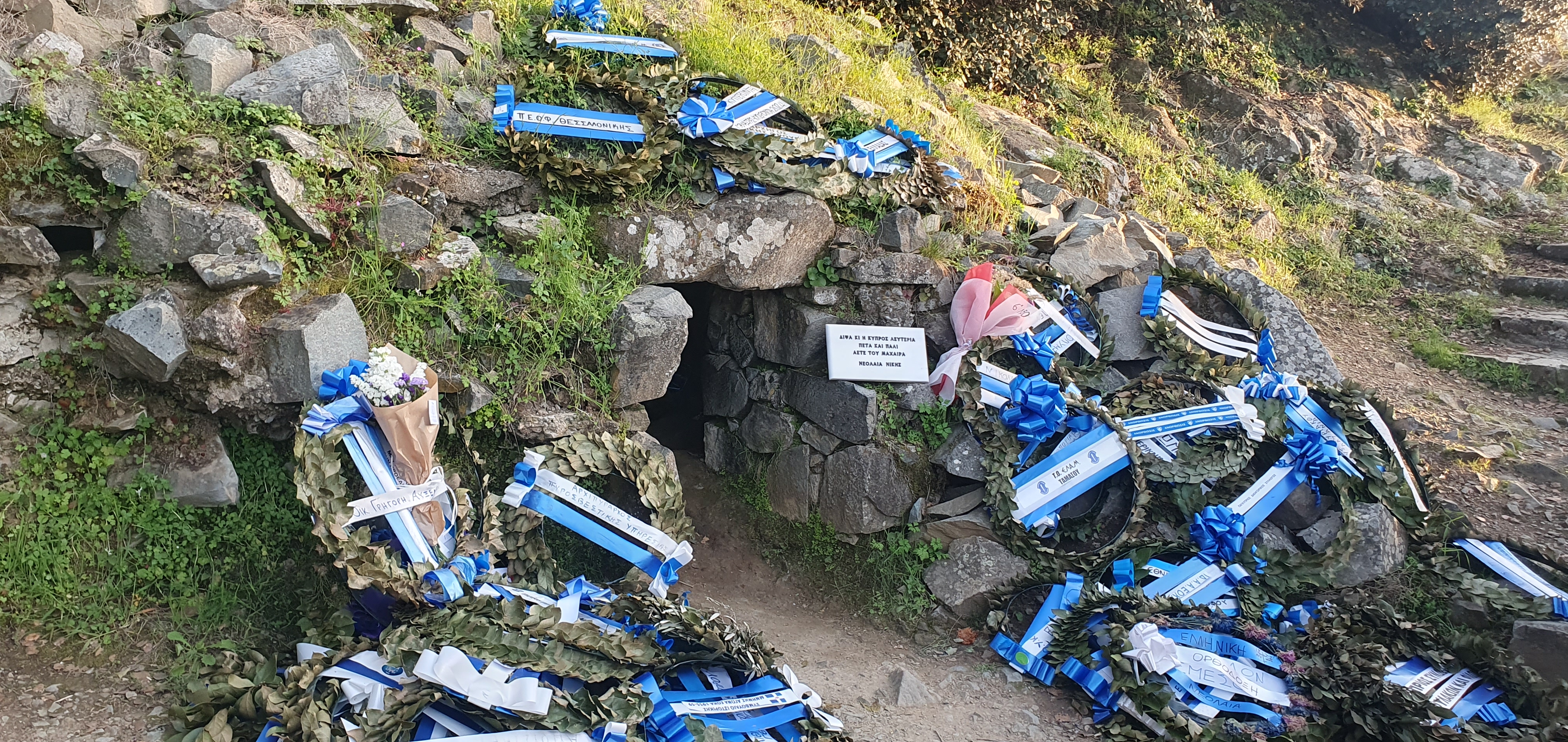 20240330_172916.jpg (3.40 MB)