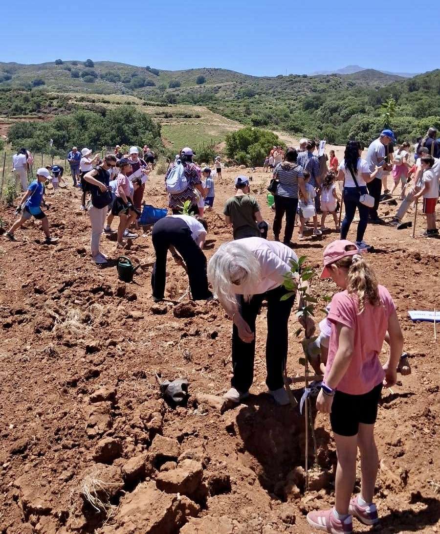 Δενδροφύτευση από παιδιά κατηχητικών στη Μονή Αρκαδίου στο Ρέθυμνο - μια φωτογραφία 4