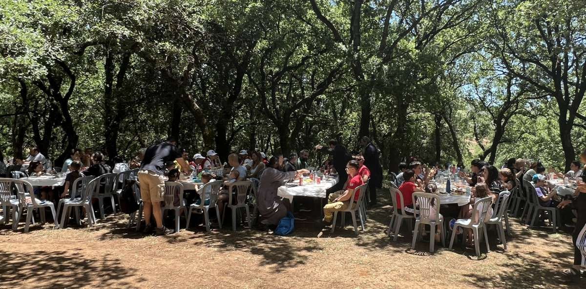 Δενδροφύτευση από παιδιά κατηχητικών στη Μονή Αρκαδίου στο Ρέθυμνο - μια φωτογραφία 8