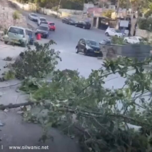 Πατριαρχείο Ιεροσολύμων για ισραηλινή κατάληψη εκκλησιαστικής γης στο Σιλωάμ - μια φωτογραφία 3