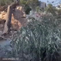 Πατριαρχείο Ιεροσολύμων για ισραηλινή κατάληψη εκκλησιαστικής γης στο Σιλωάμ - μια φωτογραφία 5