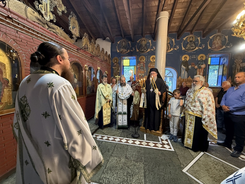 Λαρίσης Ιερώνυμος: Οι Άγιοι Ανάργυροι νικούν τη σύγχρονη ιδιοτέλεια - μια φωτογραφία 2