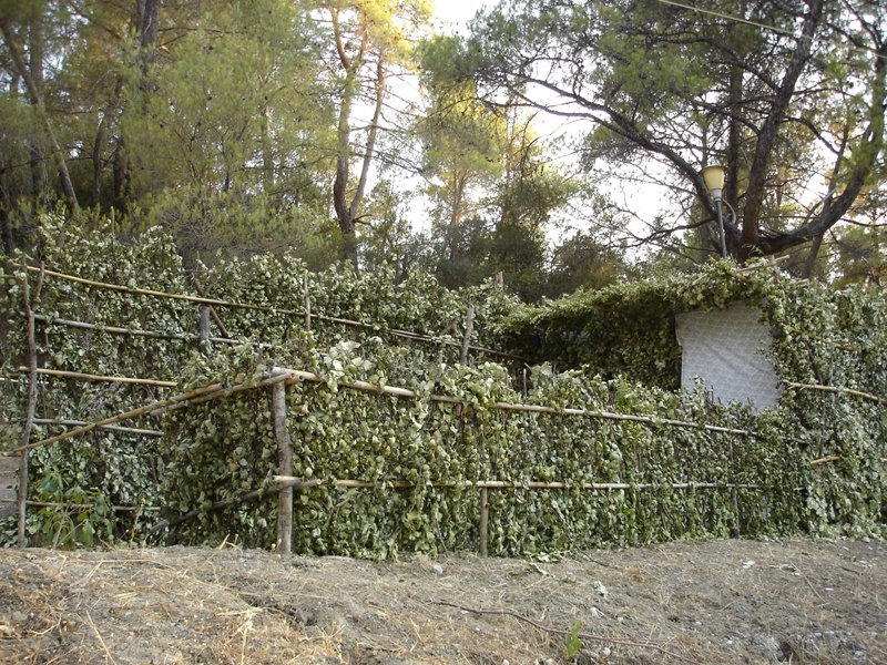 Το πανηγύρι του Αγίου Σουλά στη Ρόδο στο Εθνικό Ευρετήριο Άυλης Κληρονομιάς - μια φωτογραφία 3