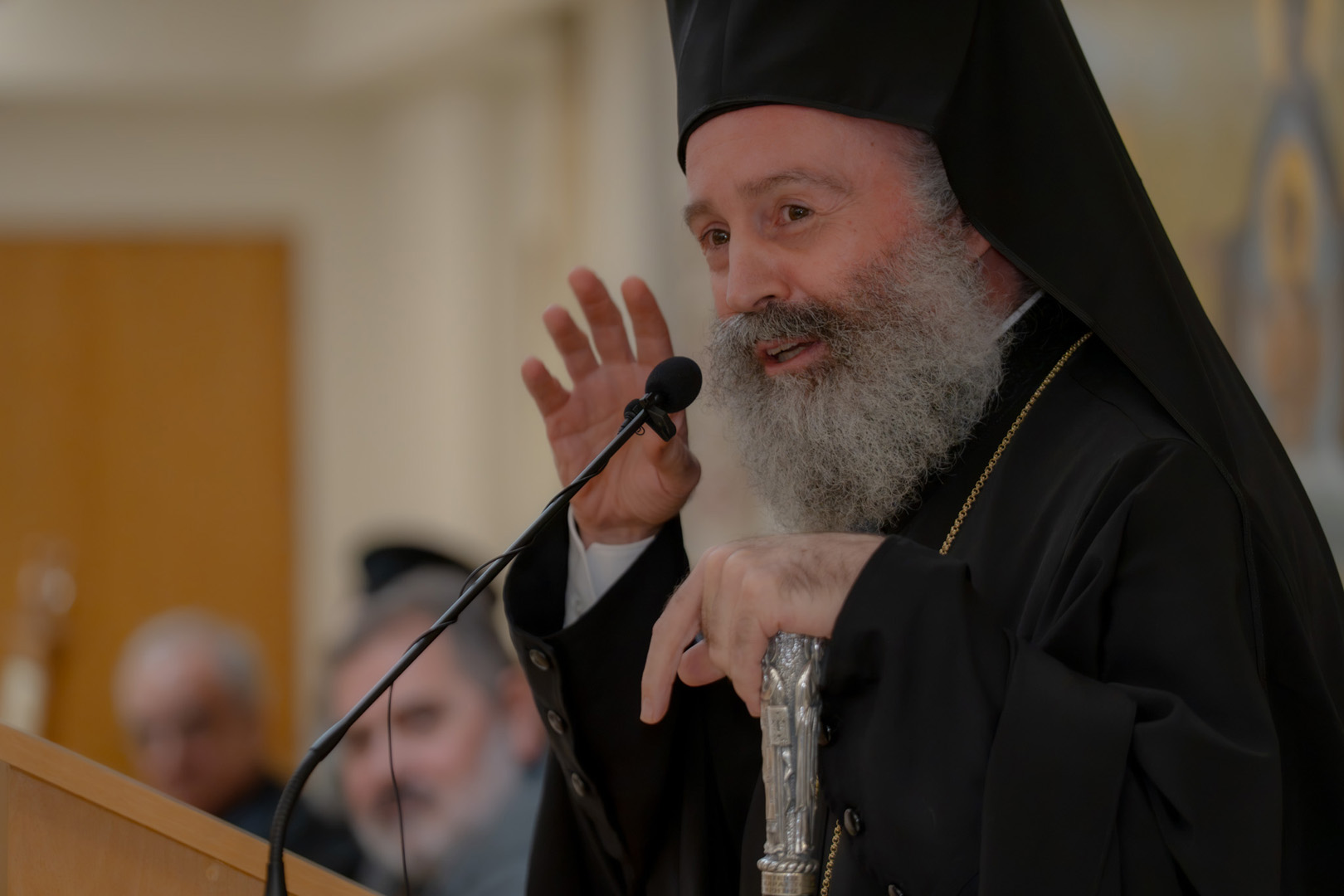 Συνεχίστηκε στο Ρέθυμνο το Συνέδριο Βιοηθικής για την υπογεννητικότητα - μια φωτογραφία 10