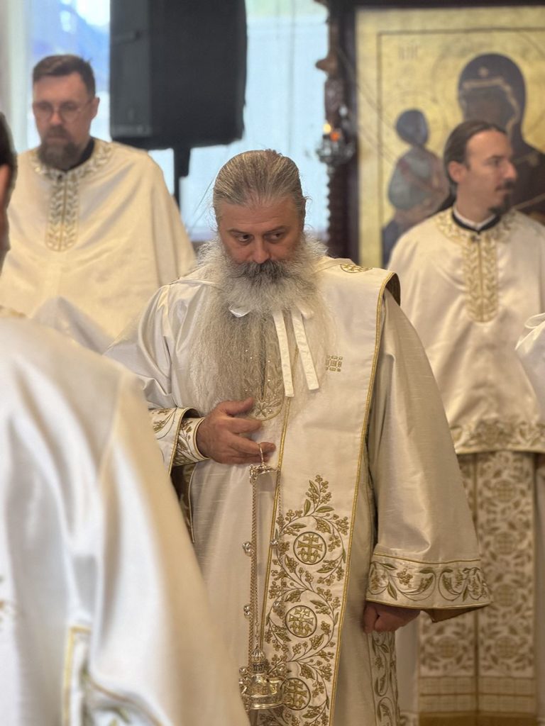 Πατριάρχης Σερβίας: Μήνυμα ενότητας προς τους Σέρβους της Αυστραλίας - μια φωτογραφία 9